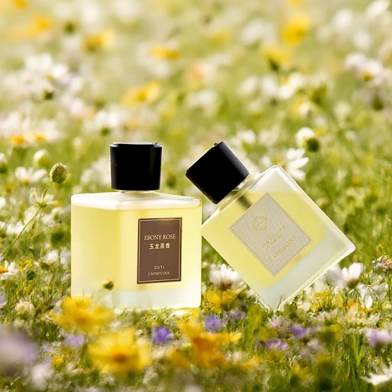 Hogar sala de estar fragancia  - Home Fragrance Room Spray reseña y precio