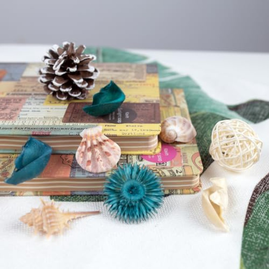 Bolsa de Potpourri de Conchas  - Home Fragrance Ocean Breeze reseña y precio